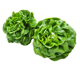 Similar image 21374483