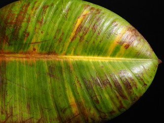 Similar image 21374711