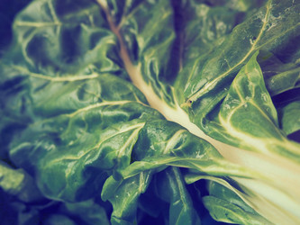 Similar image 21374943