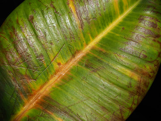 Similar image 21374944