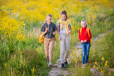 Similar image 21347054