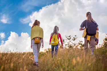 Similar image 21347055