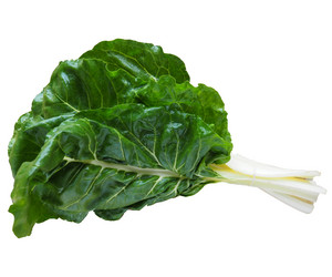 Similar image 21374155