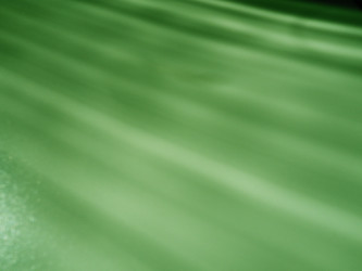 Similar image 21374728