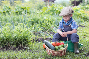 Similar image 21354265