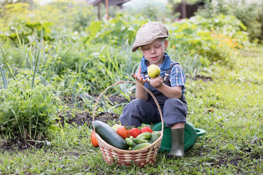 Similar image 21354266