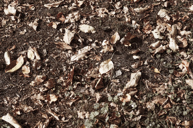 Similar image 21344178