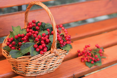 Similar image 21345736