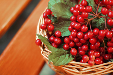 Similar image 21344181