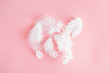 Similar image 21354269