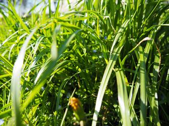 Similar image 21374177