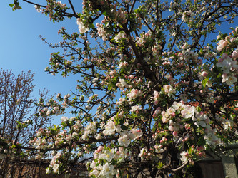 Similar image 21374180