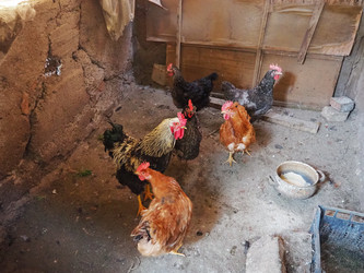 Similar image 21374183