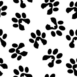 Similar image 21358568