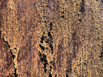 Similar image 21375122