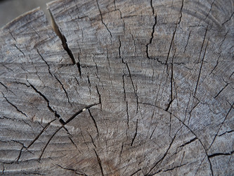 Similar image 21375329