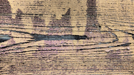 Similar image 21375334