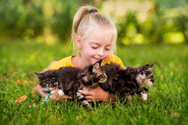 Similar image 21347068