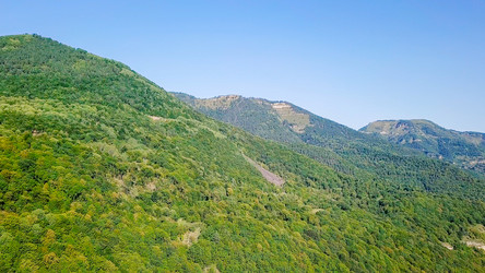 Similar image 21373314