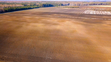 Similar image 21373509