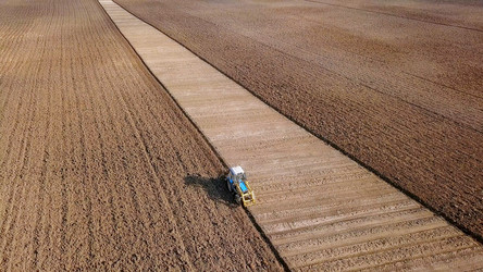 Similar image 21364396