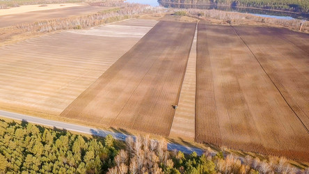 Similar image 21364690