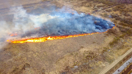 Similar image 21372379