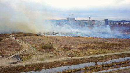 Similar image 21372529