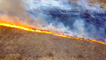 Similar image 21372534