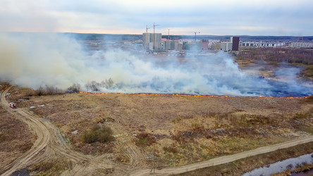 Similar image 21372538