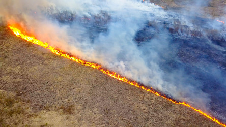 Similar image 21372540