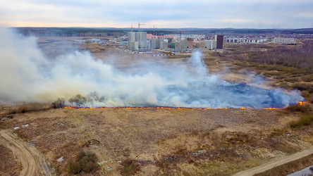 Similar image 21372544