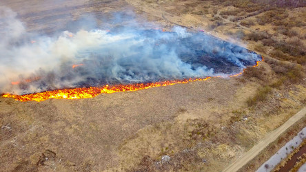 Similar image 21372548