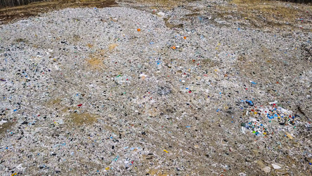 Similar image 21372553