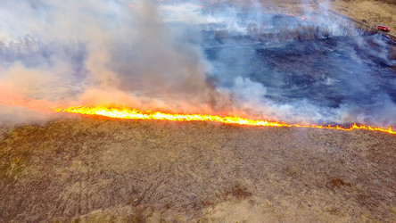 Similar image 21372554