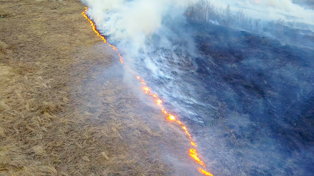 Similar image 21372835