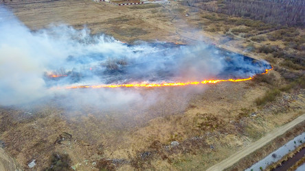 Similar image 21373019