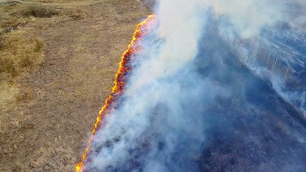 Similar image 21373021