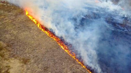 Similar image 21373124