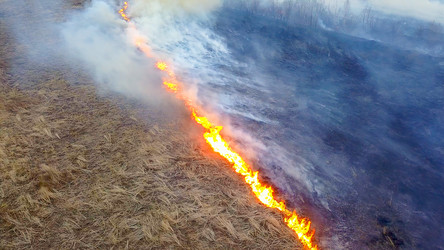 Similar image 21373126