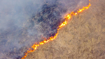 Similar image 21373132