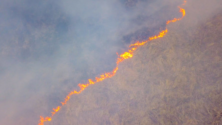 Similar image 21373134