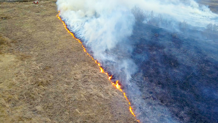 Similar image 21373135