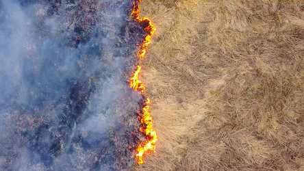 Similar image 21373137