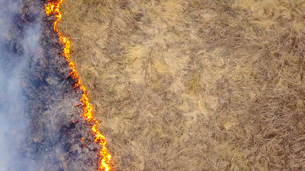 Similar image 21373321