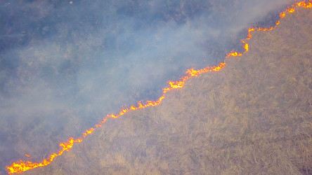 Similar image 21373322