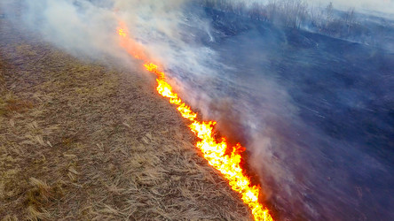 Similar image 21373323