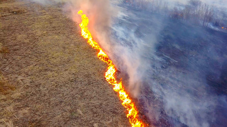 Similar image 21373327