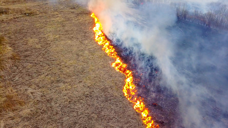 Similar image 21373329