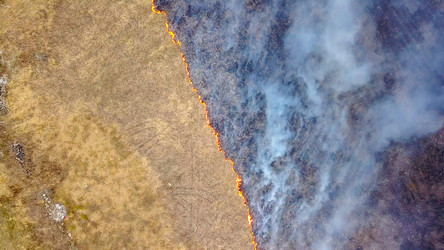 Similar image 21373330